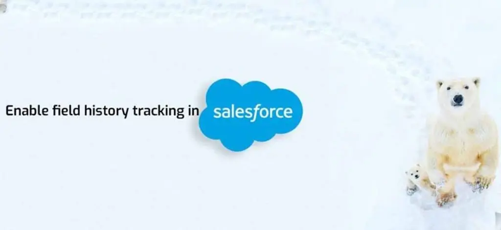 field history tracking in salesforce Field history tracking in Salesforce, showcasing changes made to fields over time for better data management and analysis.
