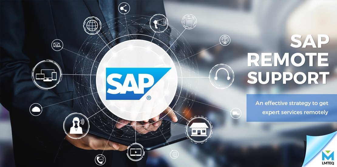 SAP remote support 1